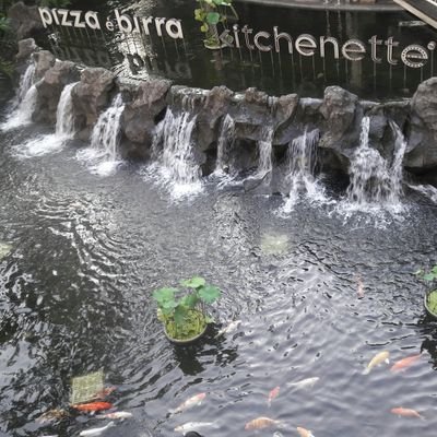 Profile Picture of Jef L Ps (@joshuapane1) on Twitter