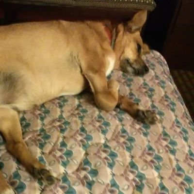 Profile Picture of Kay Lynette Anderson ( Curry) (@Kayande42025055) on Twitter