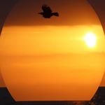 Profile Picture of Sylvia Pruitt (@sylvia.jggkvybmpruitt_1972) on Instagram