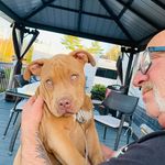 Profile Picture of Normand Lessard (@lessard5783) on Instagram