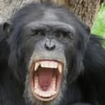 Profile Picture of Frederick Tan (@Frederick-Tan) on Facebook