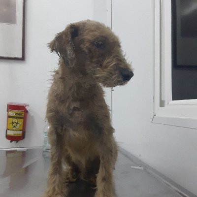 Profile Picture of José Asuncion Silva Lopez (@JosAsuncionSil1) on Twitter