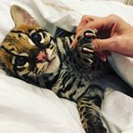 Profile Picture of Boniface (@boniface_smr) on Instagram