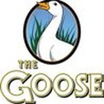 Profile Picture of Steve Guess (@sbguess) on Instagram