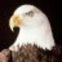 Profile Picture of Christos Gentsis (@christos-gentsis) on Quora