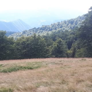 Profile Picture of Adam Petruška (@adam.petruska) on Instagram