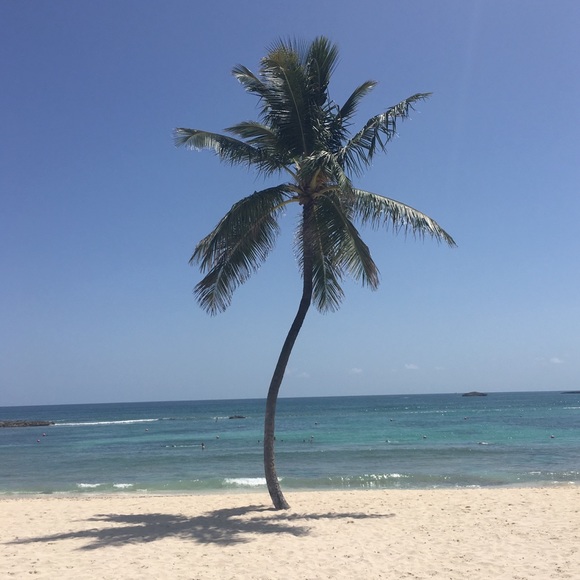 Profile Picture of Casey Grier (@casey_grier) on Poshmark