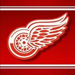 Profile Picture of Tom Heidt (@duckdad101) on Instagram