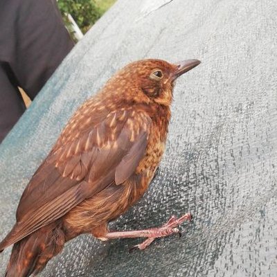 Profile Picture of James Rosky (@JamesRosky) on Twitter