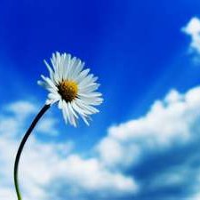 Profile Picture of James Mendiola (@sorcerersmoon2) on Twitter