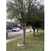 Profile Picture of Wonjae Choi (@wonjaech) on Youtube