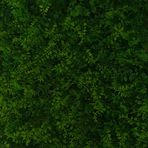 Profile Picture of Dawid Zapski (@dawid.zapski) on Facebook