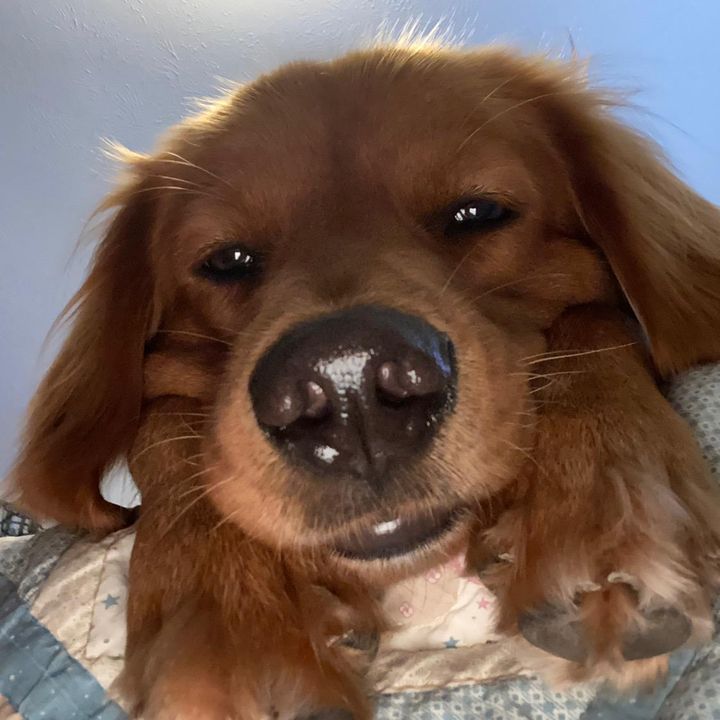Profile Picture of jaclyn (@@jaclynspringer) on Tiktok