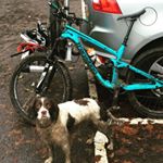 Profile Picture of Alex Fotheringham (@foddy41) on Instagram