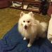 Profile Picture of Linda Treece (@linda.treece.5) on Facebook