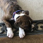 Profile Picture of Daniel Espinoza (@daniel.espinoza) on Flickr