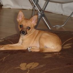 Profile Picture of Erica Cayabyab (@elcayabyab) on Myspace