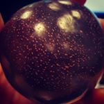 Profile Picture of Tara McGinn (@the_happy_heifer) on Instagram