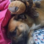 Profile Picture of Diego Flores Ramos (@ramosdiegoflores) on Instagram