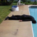 Profile Picture of Andrew Galang (@zedafubajuga) on Instagram