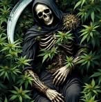 Profile Picture of Luciano Ramirez (@Luciano-Ramirez) on Facebook