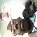 Profile Picture of Calvin Tisdale (@CALKOOL1) on Facebook