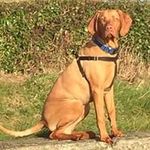 Profile Picture of Robert Hawkes (@robert_hawkes783) on Instagram