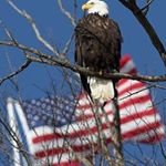 Profile Picture of Stillman Daniel (@fredg.raham) on Instagram