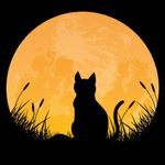 Profile Picture of Claudia Pichardo (@claudiapichardor) on Instagram