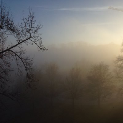 Profile Picture of Alice Mueller (@mueller_alice) on Twitter