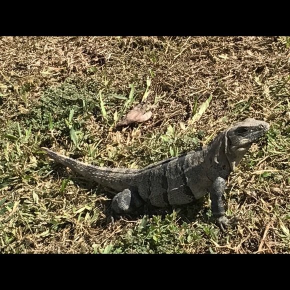 Profile Picture of Reid Davis (@reidjt2215) on Poshmark