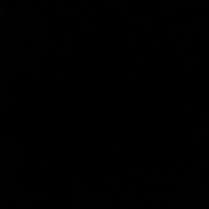 Profile Picture of Khali Graham (@khali.graham) on Tiktok