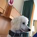 Profile Picture of Kevin Fechter (@kevin.fechter.58) on Facebook