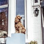 Paul Thurlow - Instagram Profile Picture of Paul Thurlow (@paulturbo) on Instagram