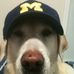 Profile Picture of Chris Cassidy (@chris.cassidy.587) on Facebook