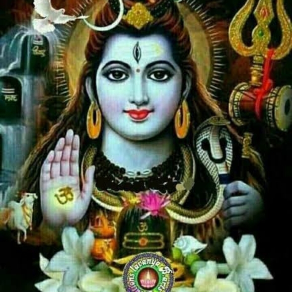 Profile Picture of Joginder Joginder (@jogindarverma65) on Poshmark