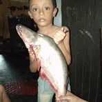 Profile Picture of Tony Kammar (@tony.kammar) on Facebook