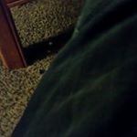 Profile Picture of David Wagoner (@adonh669) on Instagram