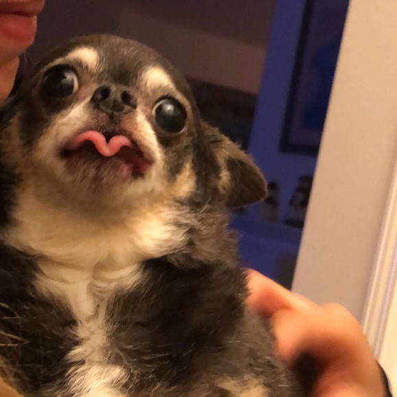 Profile Picture of Stella Richards (@stella_richards) on Poshmark