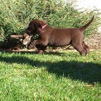 Profile Picture of Lorna Rivera (@lorna-rivera-3) on Quora