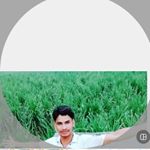 Profile Picture of Naseem choudhary (@naseem.2156) on Instagram