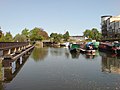 Profile Picture of River Leaon Wikipedia