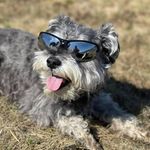 Profile Picture of Colin Grant (@colin91267) on Instagram