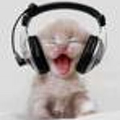 Profile Picture of SANDY GUSMAN (@kucingtadia) on Twitter