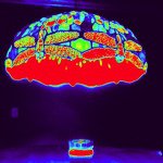 Profile Picture of Kevin (@zkevinwinkelmann) on Instagram