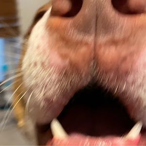 Profile Picture of shaunguzman (@shaunguzman) on Tiktok