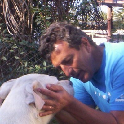 Profile Picture of Daniel Mautone (@saimon00713) on Twitter