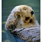 Profile Picture of Céline David (@celine.david05) on Instagram