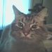 Profile Picture of David Hayashi (@david.hayashi.54) on Facebook