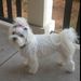 Profile Picture of Shelly Welcher (@shwel) on Pinterest